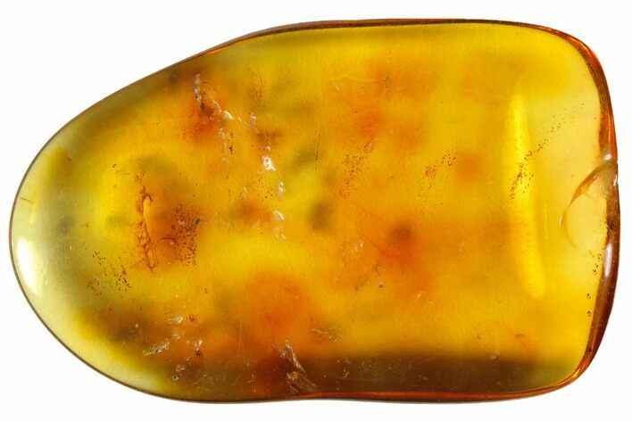 Polished Chiapas Amber ( g) - Mexico #114783